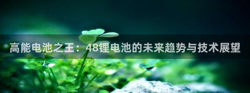 tp钱包找不到钱包同步