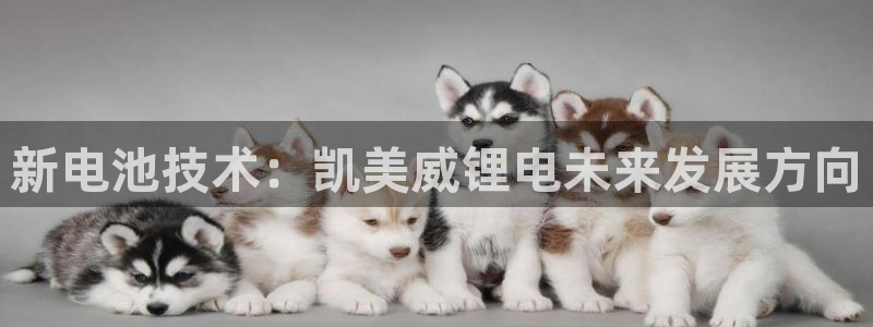 tp钱包提币不到账怎么办