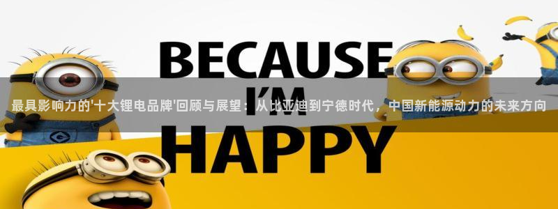 tp钱包被盗如何解决