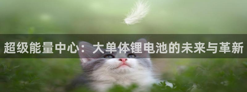 tp钱包与web3钱包哪个安全