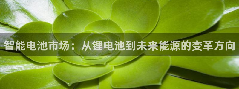 tp钱包如何转出