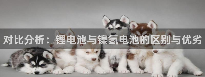 tp钱包和trust钱包