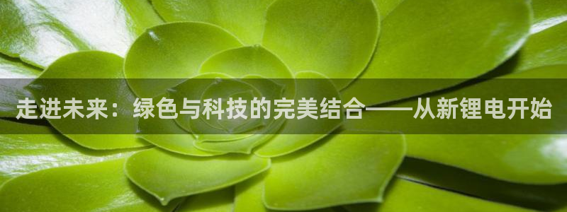 tp钱包安卓最新版下载