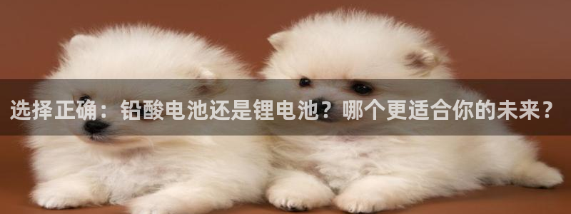 tp钱包 安全吗