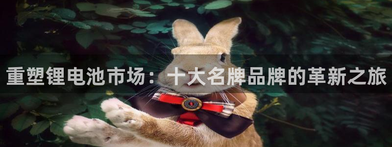 TP钱包官网正版下载