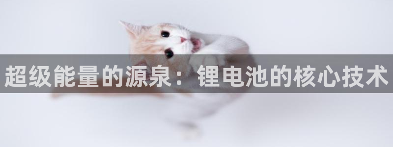 tp钱包官网客服电话