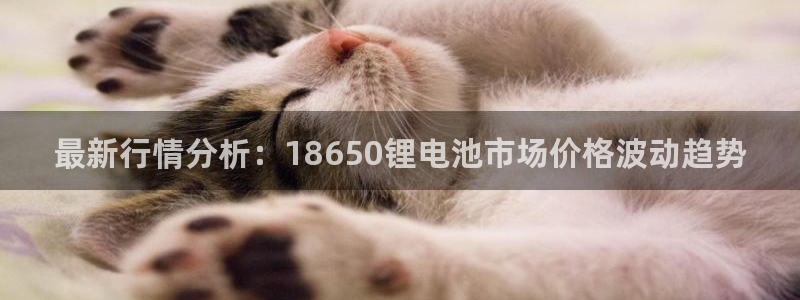 tp钱trx包智能合约可靠吗