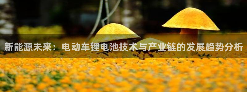 苹果tp钱包下载