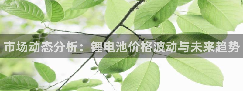 tp钱包和im钱包metamask