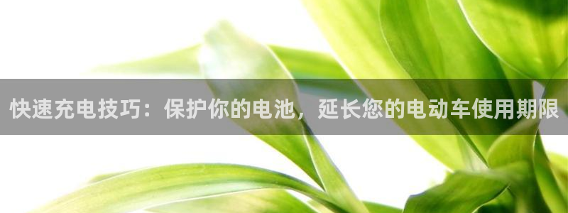 tp钱包官方邮箱