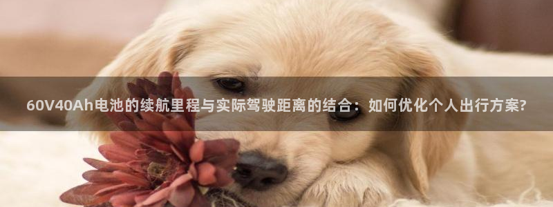 tp钱包能买币吗